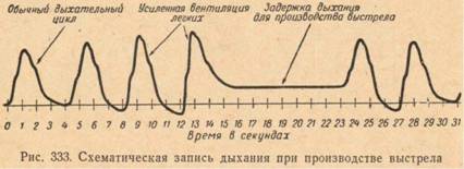 Дыхание и спуск курка в стрельбе из винтовки и пистолета